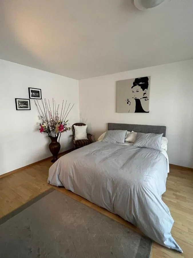 Schweiz Apartment Basel 0*,